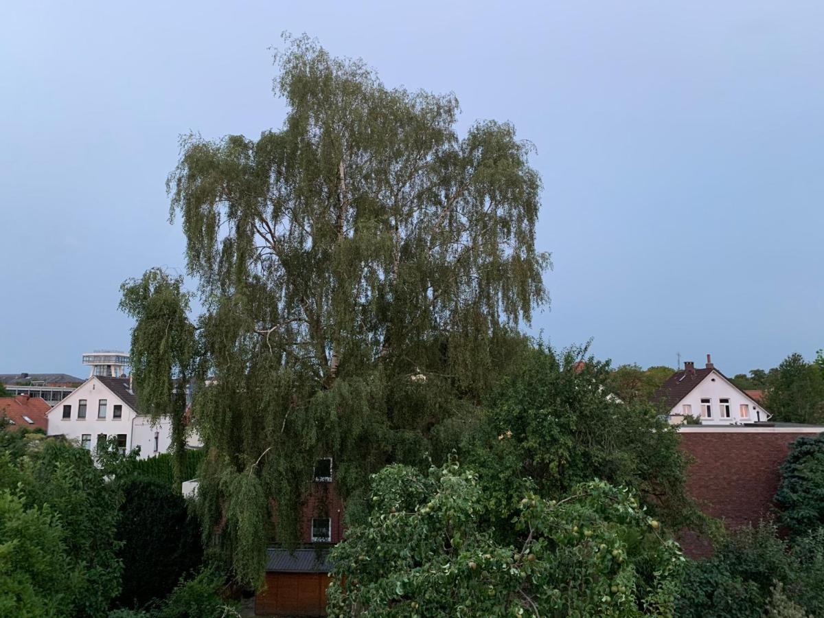 Apartament Mitte